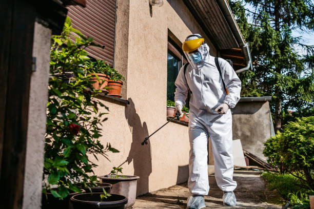 Best Affordable Pest Control Services  in Fairview, NC